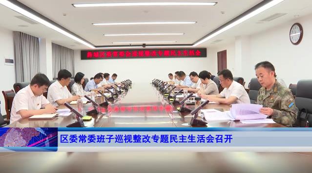 1686705603236751.jpg 巡回整改民主生活会.jpg